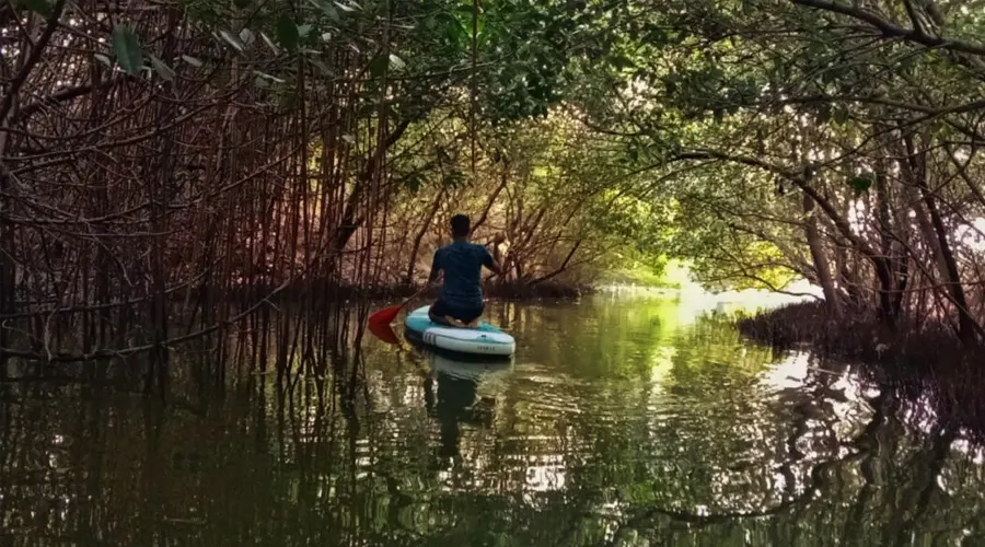 Paddle Boarding In Pondicherry